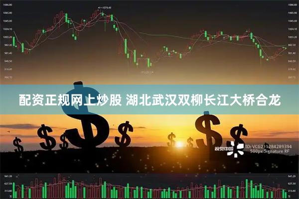 配资正规网上炒股 湖北武汉双柳长江大桥合龙